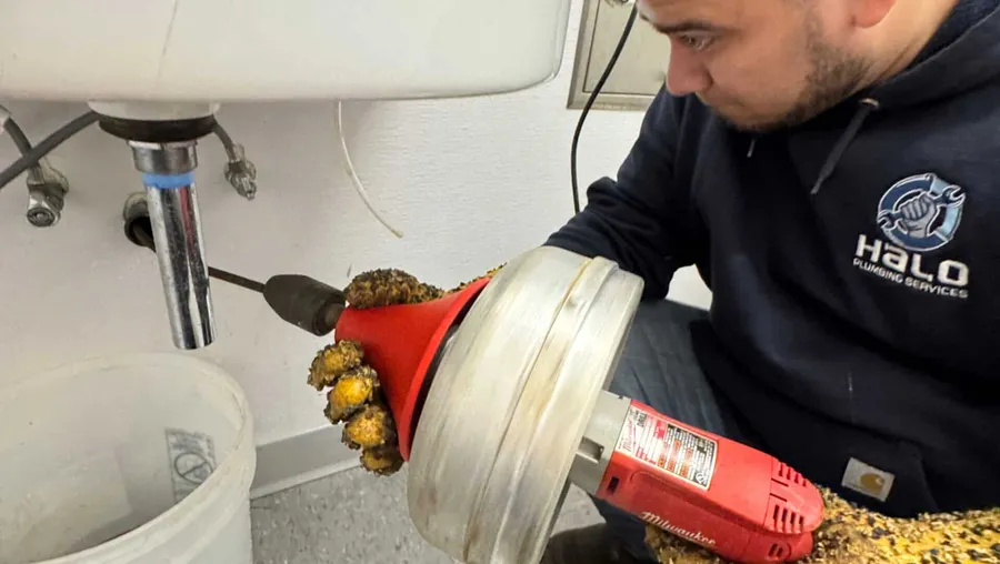 Drain cleaning & snaking